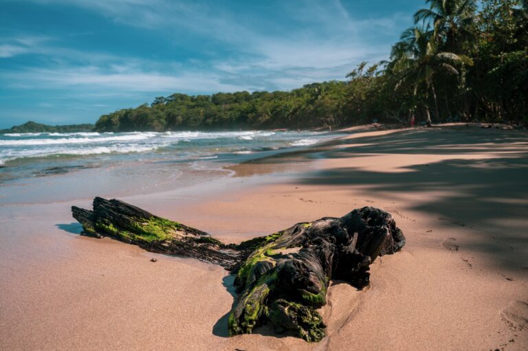 Puerto Viejo Caribbean beach, Costa Rica