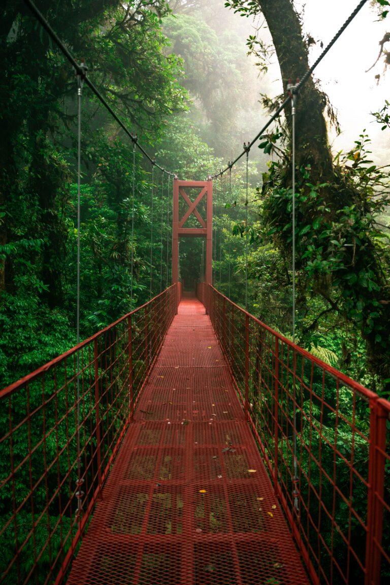 Monteverde cloud forest, Costa Rica