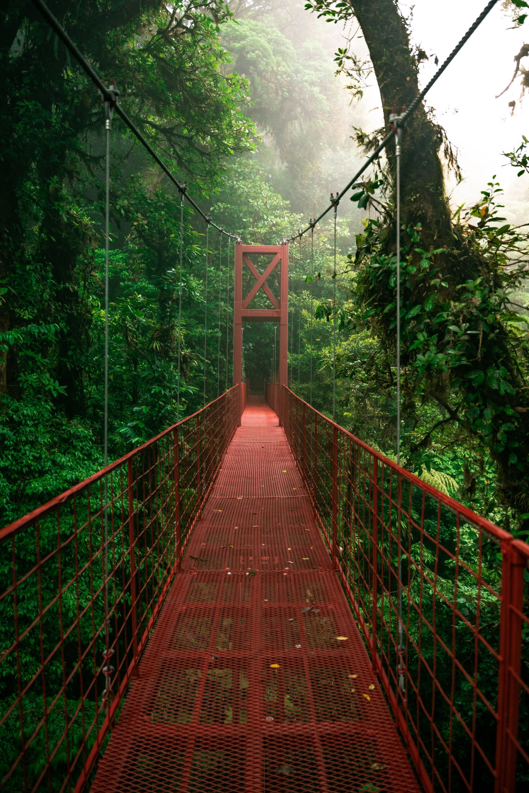 San José ⇄ Monteverde (Santa Elena)