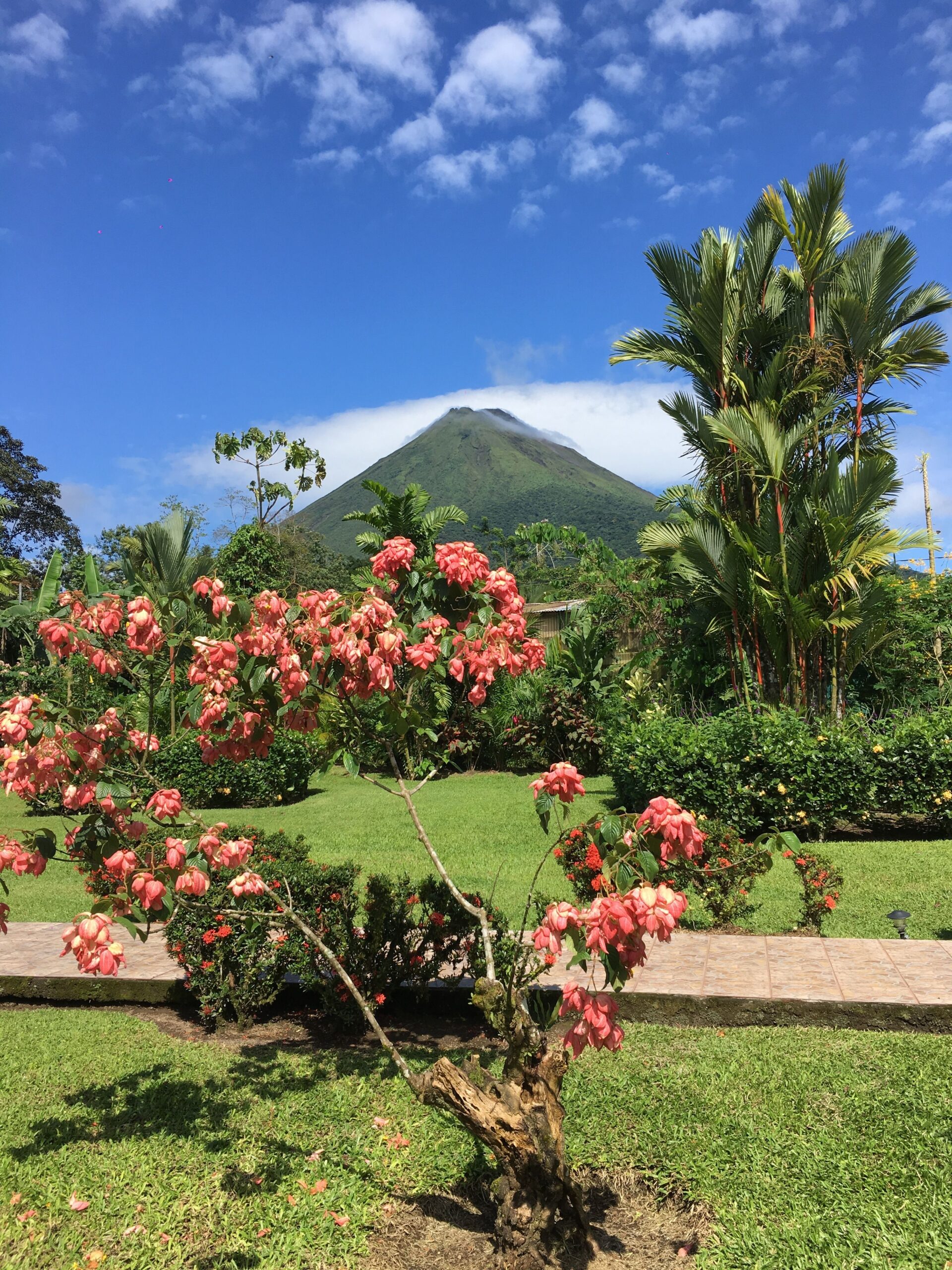 San José ⇄ La Fortuna (Arenal)