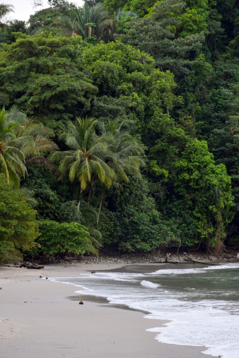 Manuel Antonio National Park beach, Costa Rica
