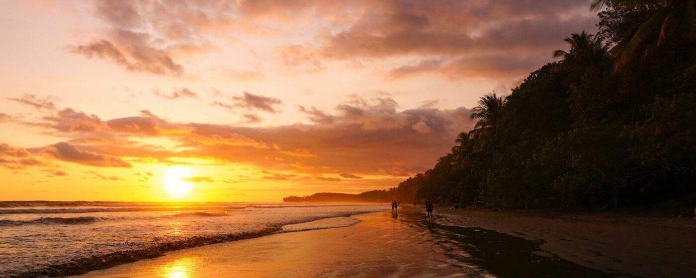 San José ⇄ Uvita (Marino Ballena) — Costa Rica